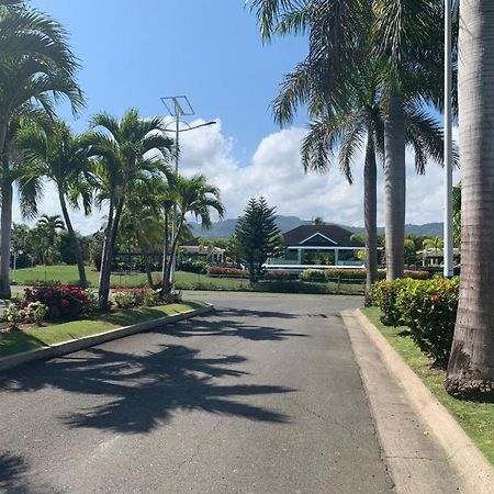Nature'S Choice Home Richmond Palms, Jamaica Εξωτερικό φωτογραφία