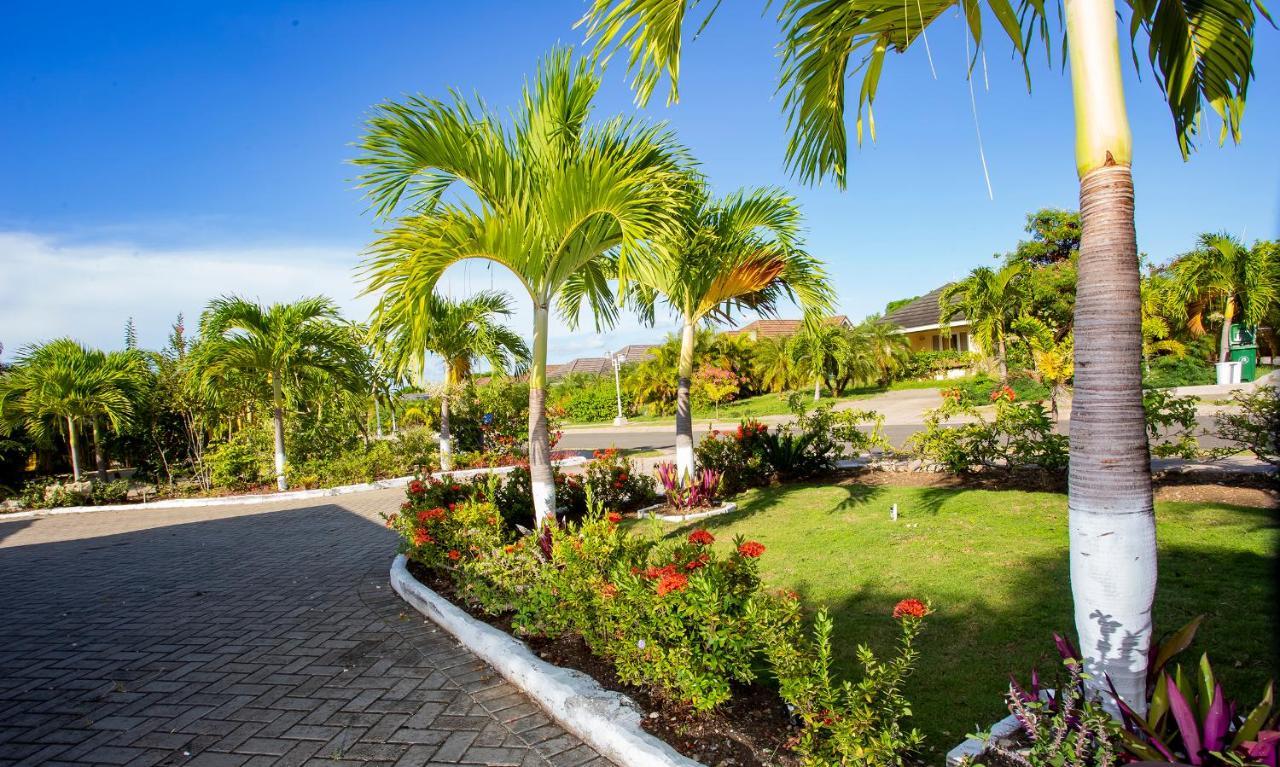 Nature'S Choice Home Richmond Palms, Jamaica Εξωτερικό φωτογραφία