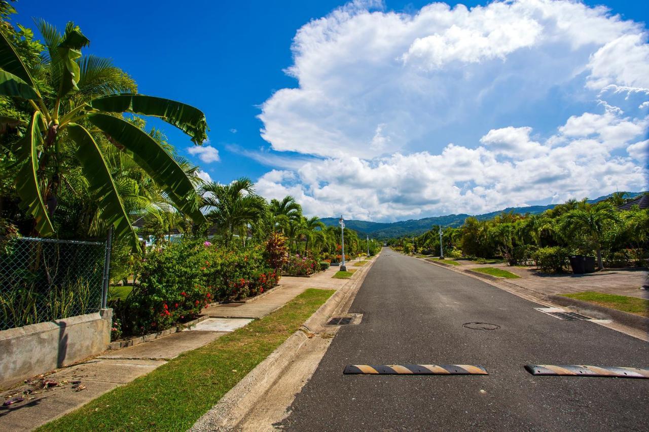 Nature'S Choice Home Richmond Palms, Jamaica Εξωτερικό φωτογραφία