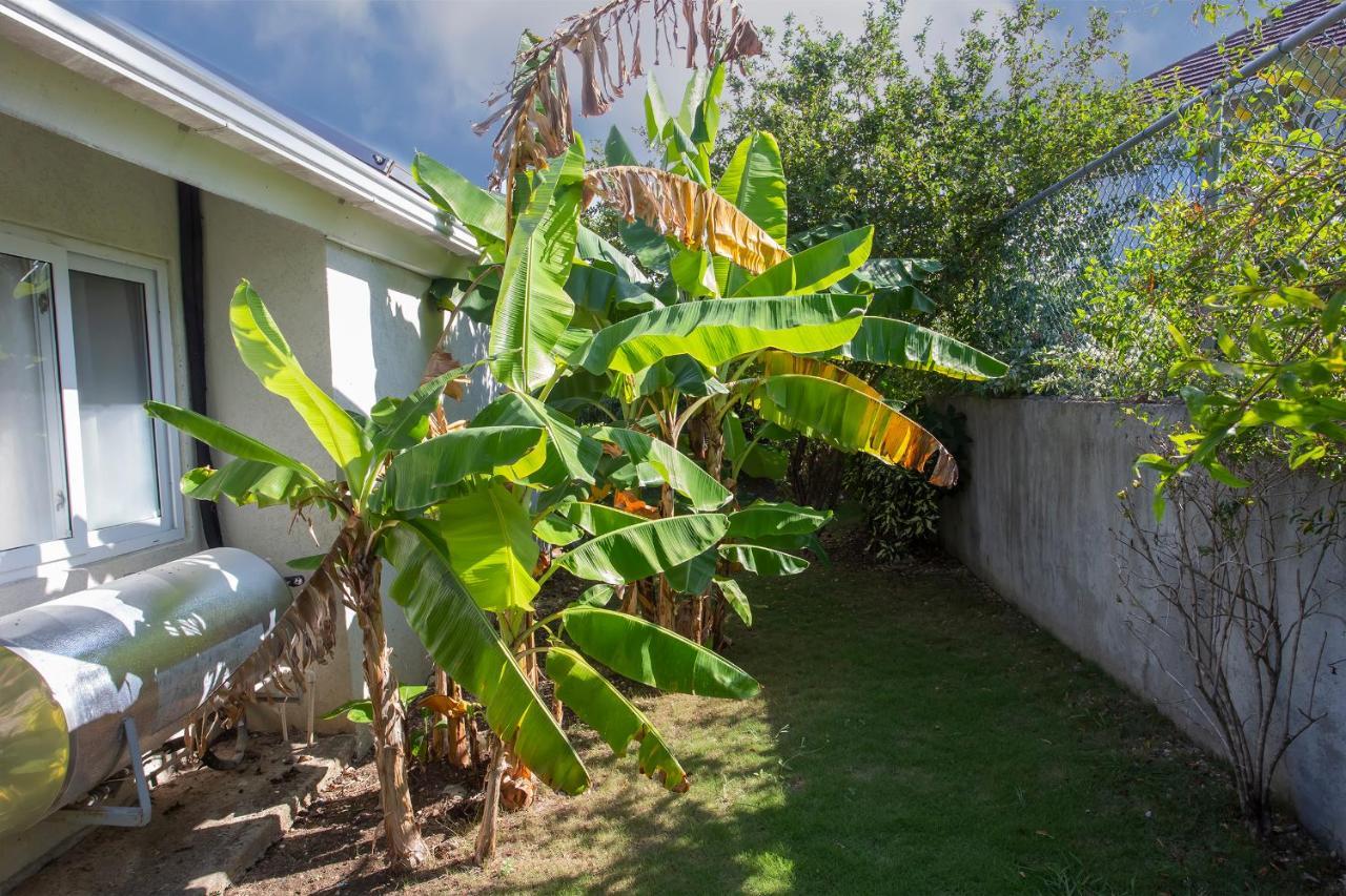 Nature'S Choice Home Richmond Palms, Jamaica Εξωτερικό φωτογραφία
